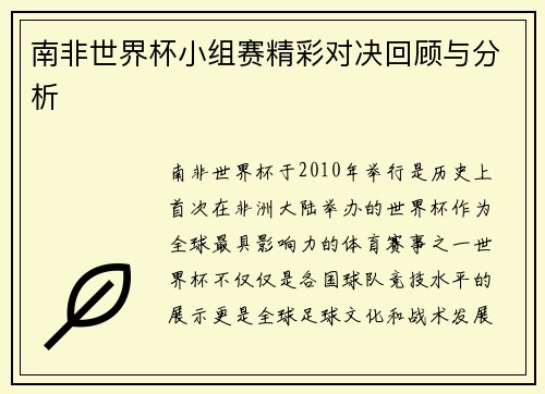 南非世界杯小组赛精彩对决回顾与分析